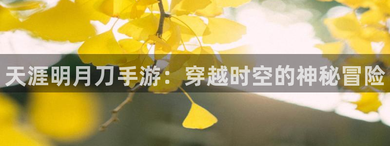 天美娱乐4招商：天涯明月刀手游：穿越时空的神秘冒险