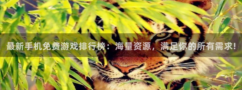 天美娱乐是什么：最新手机免费游戏排行榜：海量资源，满足你的所