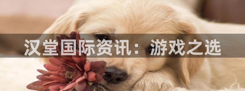 天美娱乐直属：汉堂国际资讯：游戏之选