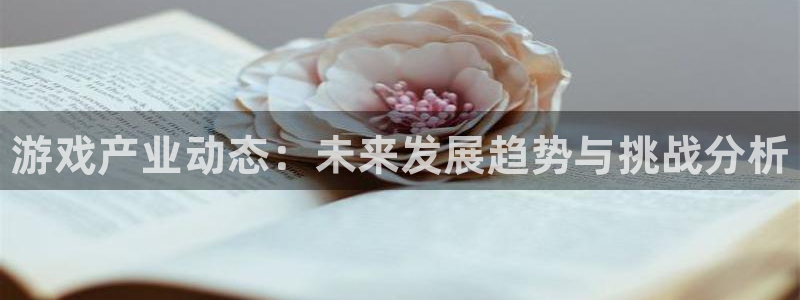 天美娱乐平台注册资金多少：游戏产业动态：未来发展趋势与挑战分