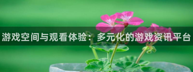 天美娱乐娱乐：游戏空间与观看体验：多元化的游戏资讯平台