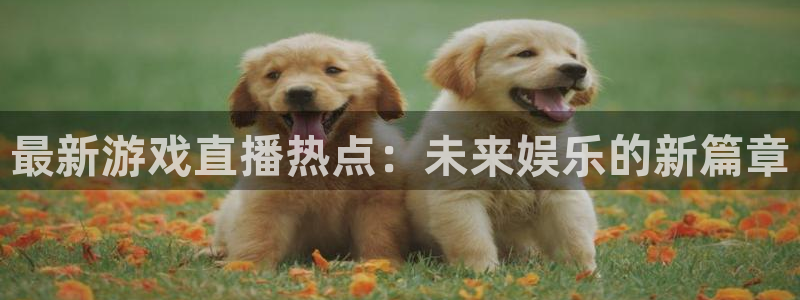 天美娱乐升级5994月：最新游戏直播热点：未来娱乐的新篇章