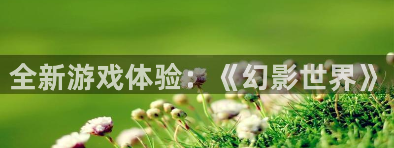 天美娱乐官网登录：全新游戏体验：《幻影世界》