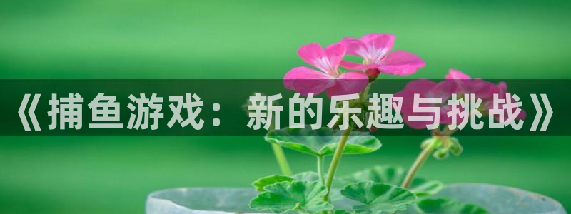 天美娱乐注册测速：《捕鱼游戏：新的乐趣与挑战》