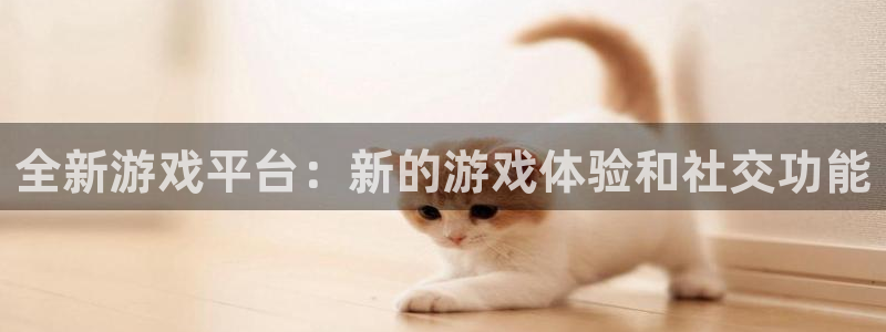 天美娱乐平台注册官网：全新游戏平台：新的游戏体验和社交功能
