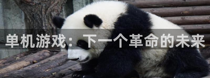 天美娱乐app下载：单机游戏：下一个革命的未来