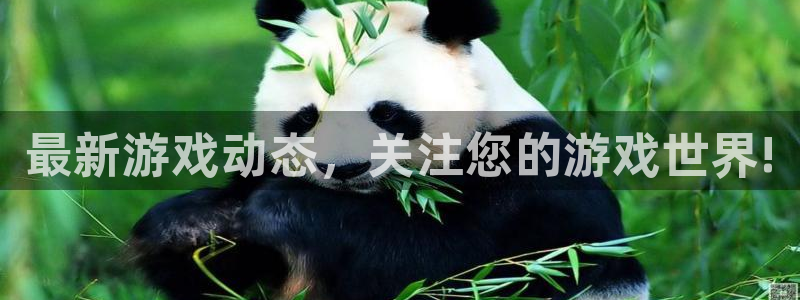 天美娱乐登录网址：最新游戏动态，关注您的游戏世界!